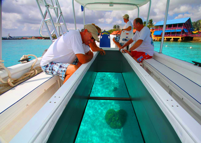 Glass Bottom Boat Experience